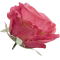 [68b2014] Róża główka 10cm ciemnoróżowa