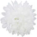 [68d7753] Główka chryzantema 7 płatków 13cm biała 6szt