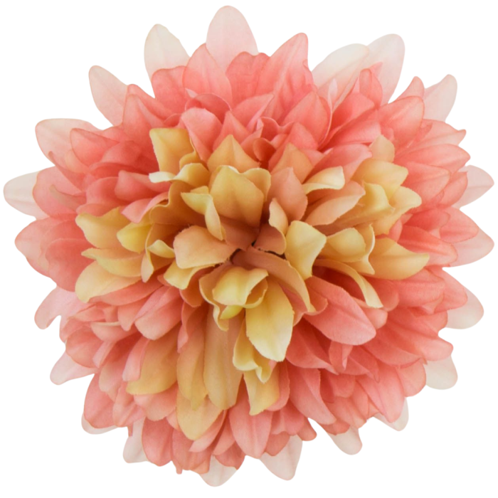 [68d7750] Główka chryzantema 7 płatków 13cm łososiowo- kremowa 6szt