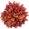 [68d7751] Główka chryzantema 7 płatków 13cm brązowa 6szt