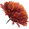 [68d7751] Główka chryzantema 7 płatków 13cm brązowa 6szt