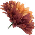 [68d7752] Główka chryzantema 7 płatków 13cm brązowa cieniowana 6szt