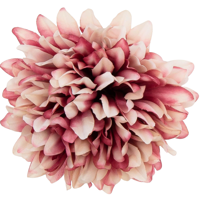 [68d7718] Główka chryzantema 7 płatków 13cm różowa cieniowana 6szt