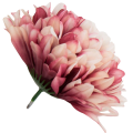 [68d7718] Główka chryzantema 7 płatków 13cm różowa cieniowana 6szt