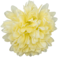 Kopia-Kopia-Kopia-Kopia-Kopia-Kopia-Kopia-Kopia-Bez-tytulu---2024-08-12T214427.508.png