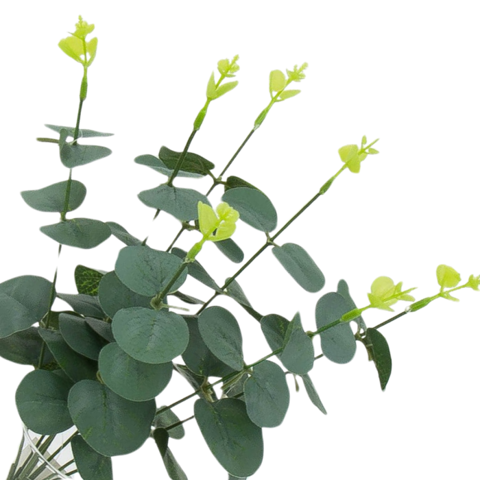 [68u353] Bukiet eukaliptusa szarozielony 33cm