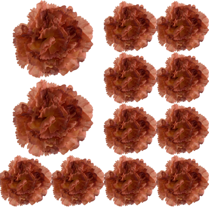 [w11038] Goździk główka 9cm brązowa 12szt