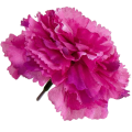 [w11067] Goździk główka 9cm różowa 12szt