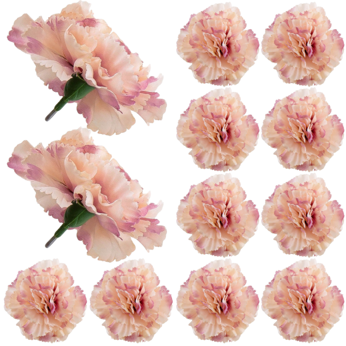 [w11070] Goździk główka 9cm łososiowa cieniowa 12szt