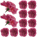 [w11068] Goździk główka 9cm ciemnoróżowa 12szt