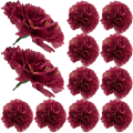 [w11083] Goździk główka 9cm bordowa 12szt