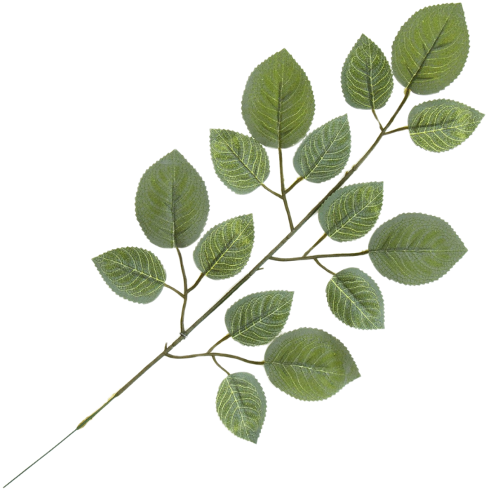 [680S188] Gałązka z listkami róży zielona