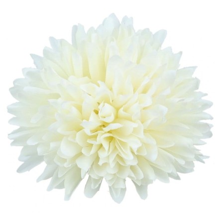 [68kr1838h] Główka kwiatowa chryzantema kremowa 8cm