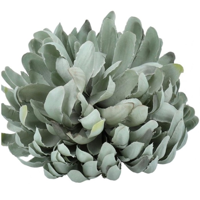 [68kr1840e] Główka kwiatowa chryzantema morska 13cm