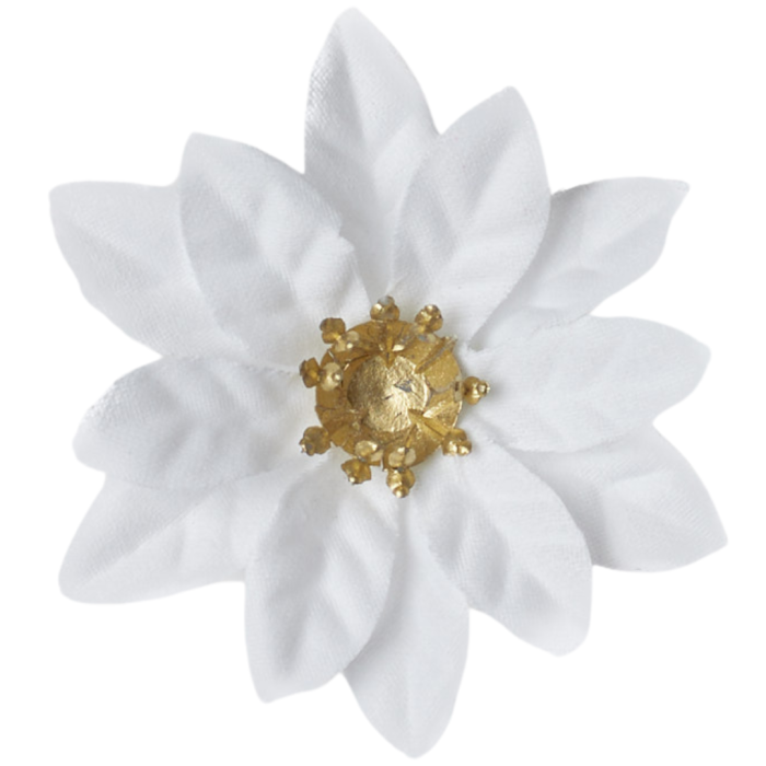 [680y3402] Poinsecja główka mała 6,5cm biała 12szt