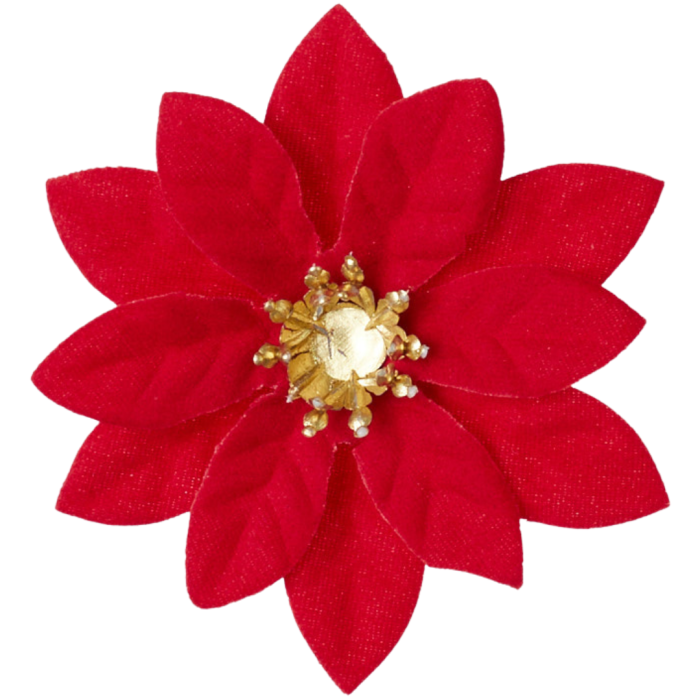 [680y3401] Poinsecja główka mała 6,5cm czerwona 12szt