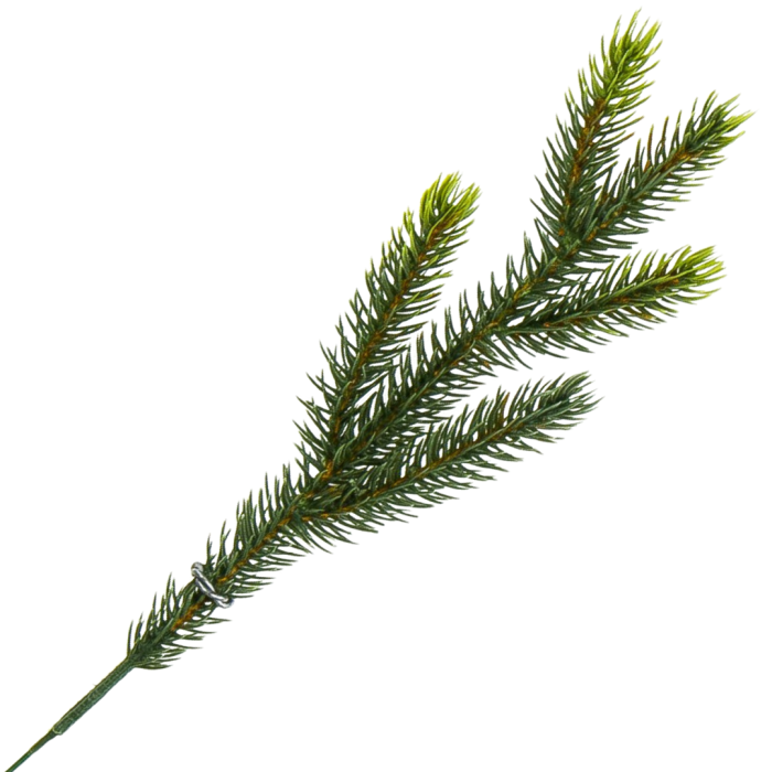 [68yd0201] Gałązka ozdobna świerk zielona pięć ramion 23cm