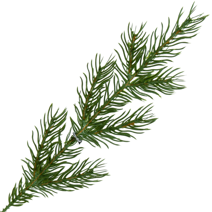 [68yd0801] Gałązka ozdobna świerk zielona siedem ramion 30cm