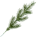 [68yd0801] Gałązka ozdobna świerk zielona siedem ramion 30cm