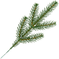 [68yd1601] Gałązka ozdobna świerk zielona pięć ramion 25cm
