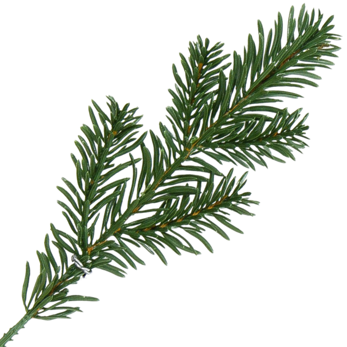 [68yd1001] Gałązka ozdobna świerk zielona pięć krótkich ramion 25cm