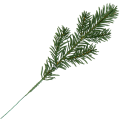 [68yd1001] Gałązka ozdobna świerk zielona pięć krótkich ramion 25cm