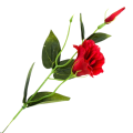 [B17932] Gałązka kwiatowa eustoma czerwona