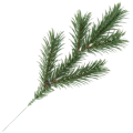 [68yd0901] Gałązka ozdobna świerk zielona pięć ramion