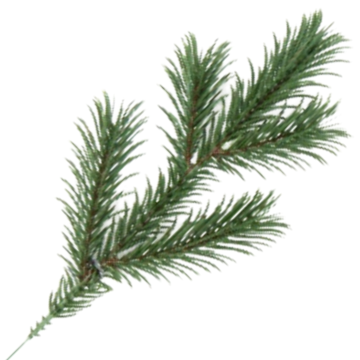 [68yd0901] Gałązka ozdobna świerk zielona pięć ramion