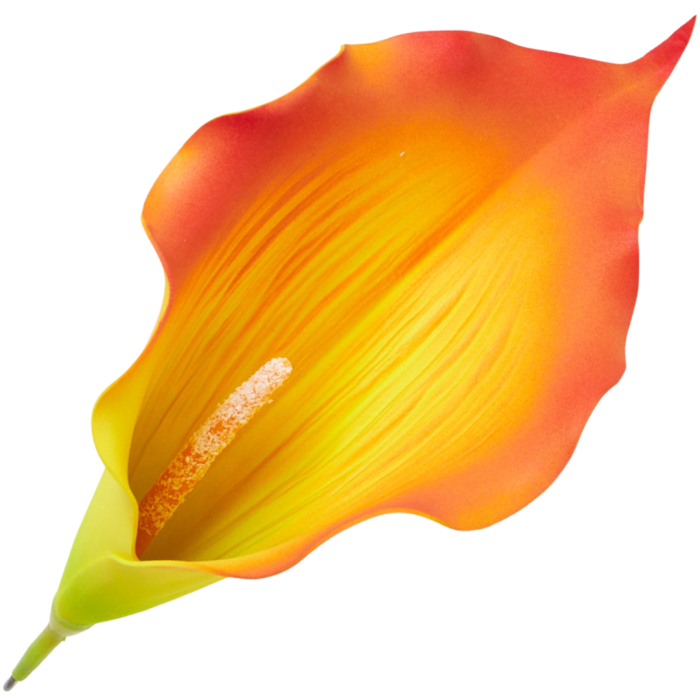 [68b6213] Główka kwiatowa kalla duża pomarańczowa z żółtym środkiem 23cm