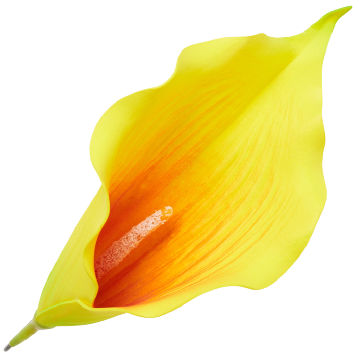 [68b6218] Główka kwiatowa kalla duża żółty z pomarańczowym środkiem 23cm