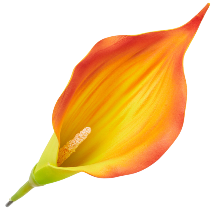 [68b6313] Główka kwiatowa kalla pomarańczowa z żółtym środkiem 16cm