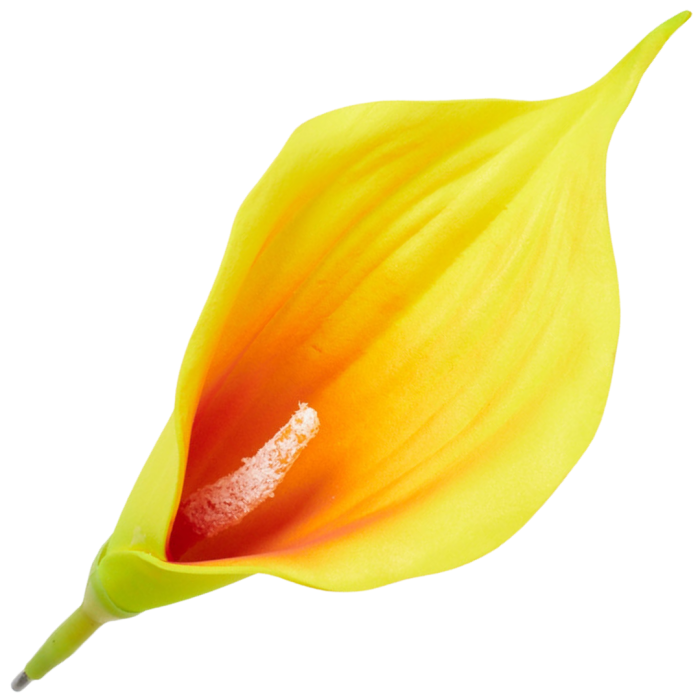 [68b6318] Główka kwiatowa kalla żółta z pomarańczowym środkiem 16cm