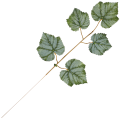 [68s8201] Gałązka liście ozdobne winogron
