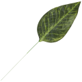 [68s8101] Liść ciemnozielony cieniowany
