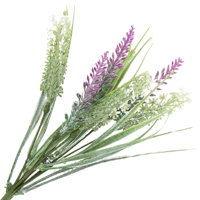 [68th0801] Bukiet lawendy 31cm