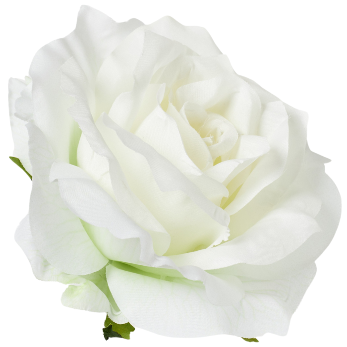 [68b5201] Róża główka rozkwitnięta 10cm ecru