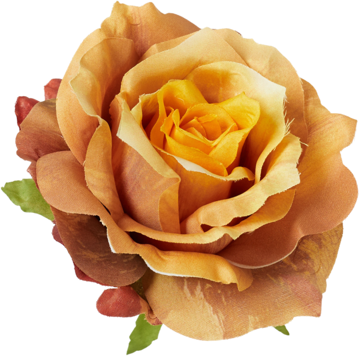 [68b5236] Róża główka rozkwitnięta 10cm jasnobrązowa