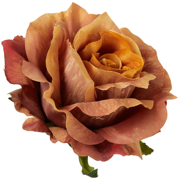 [68b5237] Róża główka rozkwitnięta 10cm jasnobrązowa