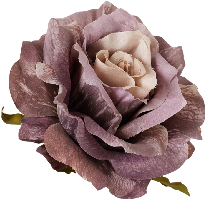 [68b5252] Róża główka rozkwitnięta 10cm różowo- fioletowa cieniowana
