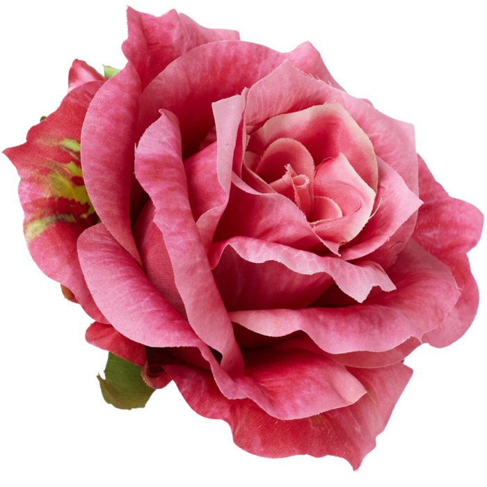 [68b5271] Róża główka rozkwitnięta 10cm ciemnoróżowa