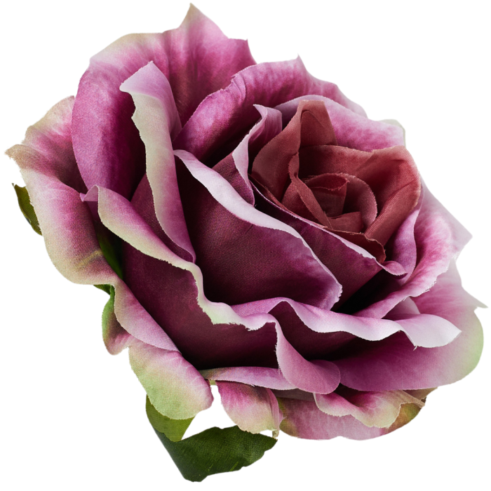 [68b5273] Róża główka rozkwitnięta 10cm fioletowo-różowa