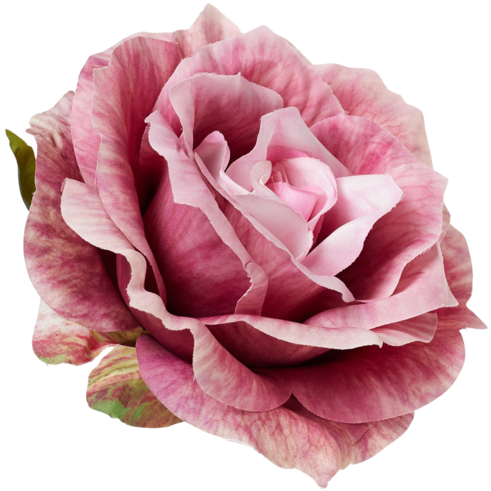 [68b5279] Róża główka rozkwitnięta 10cm różowa cieniowana