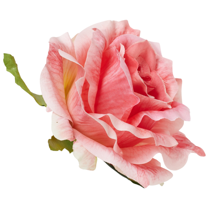 [68b5284] Róża główka rozkwitnięta 10cm koralowa