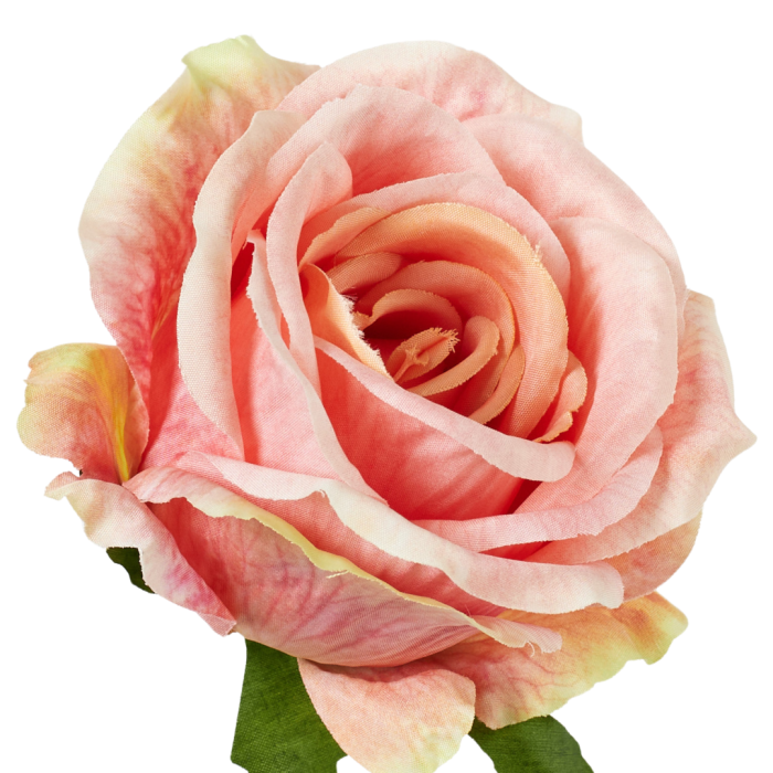 [68b5114] Róża główka wyrobowa 9cm brzoskwiniowa