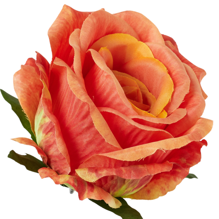 [68b5123] Róża główka wyrobowa 9cm herbciana