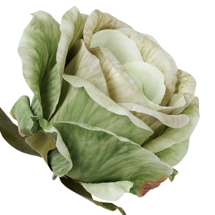 [68b5156] Róża główka wyrobowa 9cm miętowa cieniowana