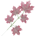 [68s3811]  Gałązka liście dekoracyjne klon różowe