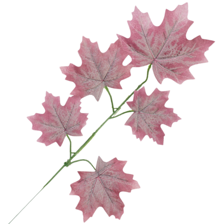 [68s3811]  Gałązka liście dekoracyjne klon różowe
