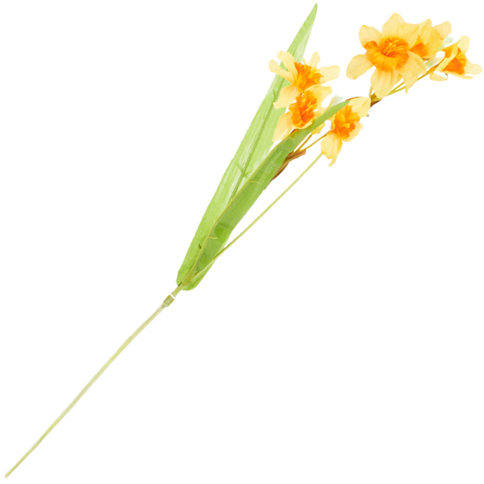 [680g300104] Gałązka z kwiatami żonkila żółta z pomarańczowy środkiem